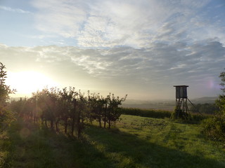 Sonnenaufgang Landschaft mit Hochsitz, Jagd, Morgen