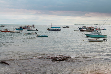 Obraz premium Praia do Forte in São João da Mata Bahia, famous beach in the Brazilian coast