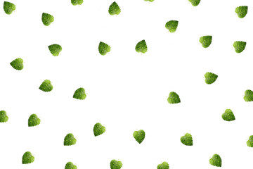 Fresh green leaf mint with water drops, scattered in a chaotic manner, isolated on white background. Food background. 