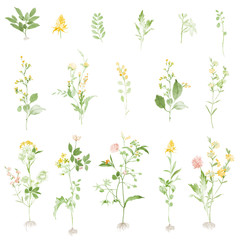 Floral pattern for wallpaper or fabric