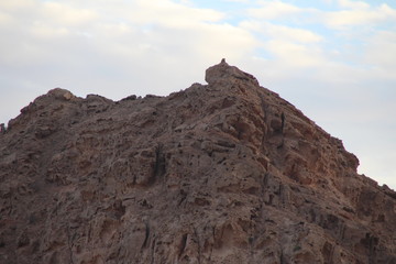 Fototapeta premium mountain