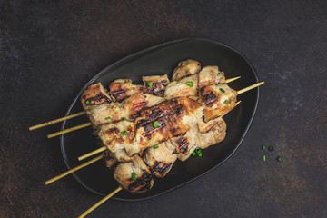 Grilled chicken skewers with green onion and salsa sauce in a plate on a dark background. Top view.