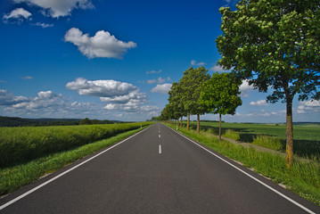Allee zwischen Biesingen und Blieskastel