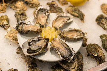 Plate of open oysters