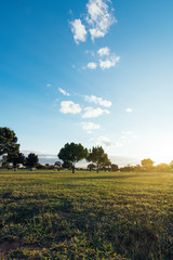 Open field during sunset.