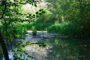 Fototapeta premium Marais de Méditerranée