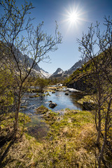 Beautiful wooded valley with stream in Lofoten Islands, Norway,