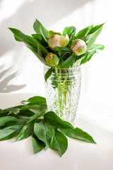 Bouquet of peony buds in a crystal vase. Flower background. Game of light and shade