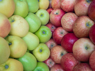 several types of tomatoes on the shelf of a fruit store