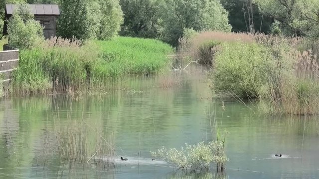 il biotopo di Baitoni