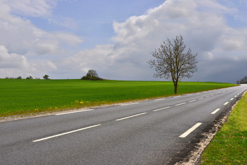 L'arbre au bord de la route, département de la Haute-Loire en région Auvergne-Rhône-Alpes, France