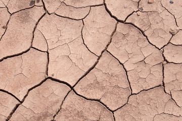 Mud crack,Brown cracked ground texture or background.