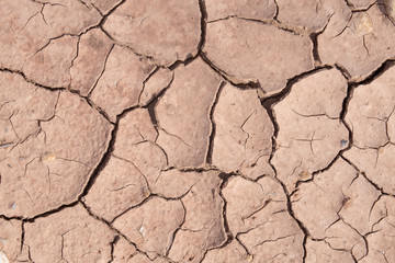 Mud crack,Brown cracked ground texture or background.