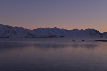 ニュージーランドのテカポ