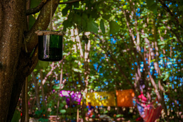 Handmade dream catcher hanging in a green forest. Festival decoration.