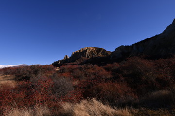 ニュージーランドのテカポ