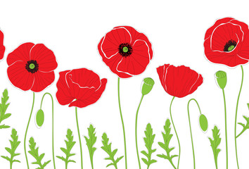 Obraz premium Red poppy flowers on white background. Seamless background pattern. Vector illustration. 