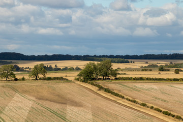 Obraz premium The Cotswolds