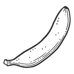Organic sweet banana. Vector concept in doodle and sketch style.