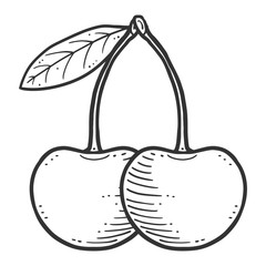 Organic fresh cherry. Vector concept in doodle and sketch style.