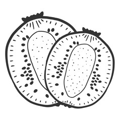 Sweet ripe slice of kiwi. Vector concept in doodle and sketch style.