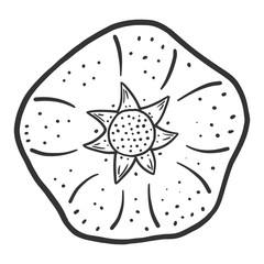 Sweet ripe pomegranate. Vector concept in doodle and sketch style.