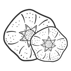 Sweet ripe pomegranate. Vector concept in doodle and sketch style.