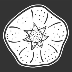 Sweet ripe pomegranate. Vector concept in doodle and sketch style.