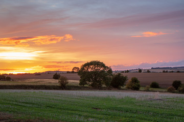 Fototapeta premium The Cotswolds