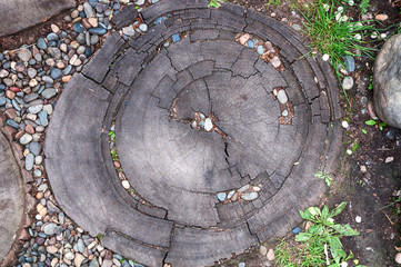 garden path of cross cuts of old wood