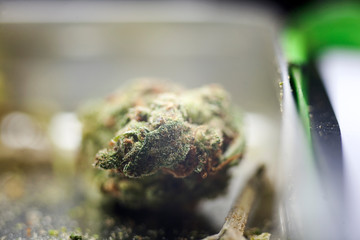 Medical cannabis macro background fine art in high quality prints products fifty Megapixels