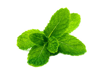Fresh and green peppermint, spearmint leaves isolated on the white background. close up mint.