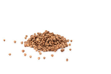 Coriander seeds are isolated on a white background.