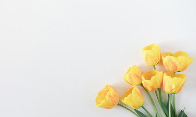 Beautiful composition of spring flowers. Yellow tulips flowers on white background. Valentine's Day, Easter, Birthday, Happy Women's Day, Mother's Day. Flat lay, top view, copy space