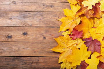 Naklejka na ściany i meble Autumn background. Colorful autumn leaves on wooden background. Top view