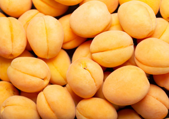 Fototapeta na wymiar fresh apricots as background, top view