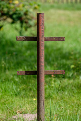 summer green mixed tree forest with green grass foliage