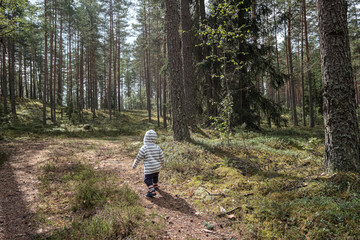 Obraz premium little baby alone wandering in forest