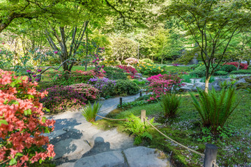 Garden In Full Bloom