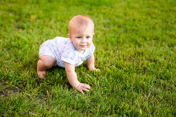 Summer portrait of happy funny baby boy outdoors on grass in field. Child learning to crawl