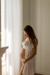Fototapeta na wymiar Portrait of young pregnant attractive woman, standing by the window