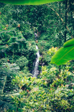 Gitgit Waterfall on Bali island, Indonesia