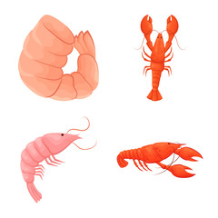 Vector illustration of shrimp and crab logo. Set of shrimp and sea vector icon for stock.