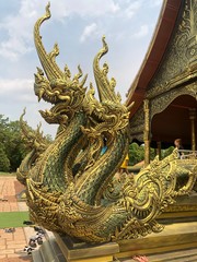 Fototapeta na wymiar NAKA golden dragon statue in Ubon thailand