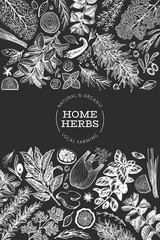 Culinary herbs banner template. Hand drawn vintage botanical illustration on chalk board. Engraved style. Vintage food background.