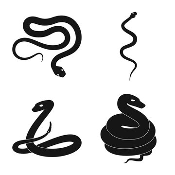 Vector design of nature and medicine icon. Collection of nature and evil vector icon for stock.
