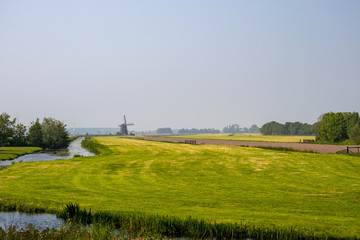 Fototapeta na wymiar Dutch landscape with mill