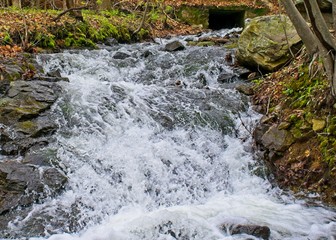 Rushing stream
