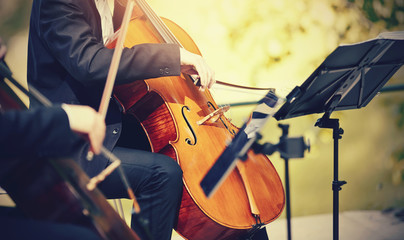 The musician plays the cello.