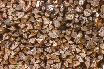 Holzstapel